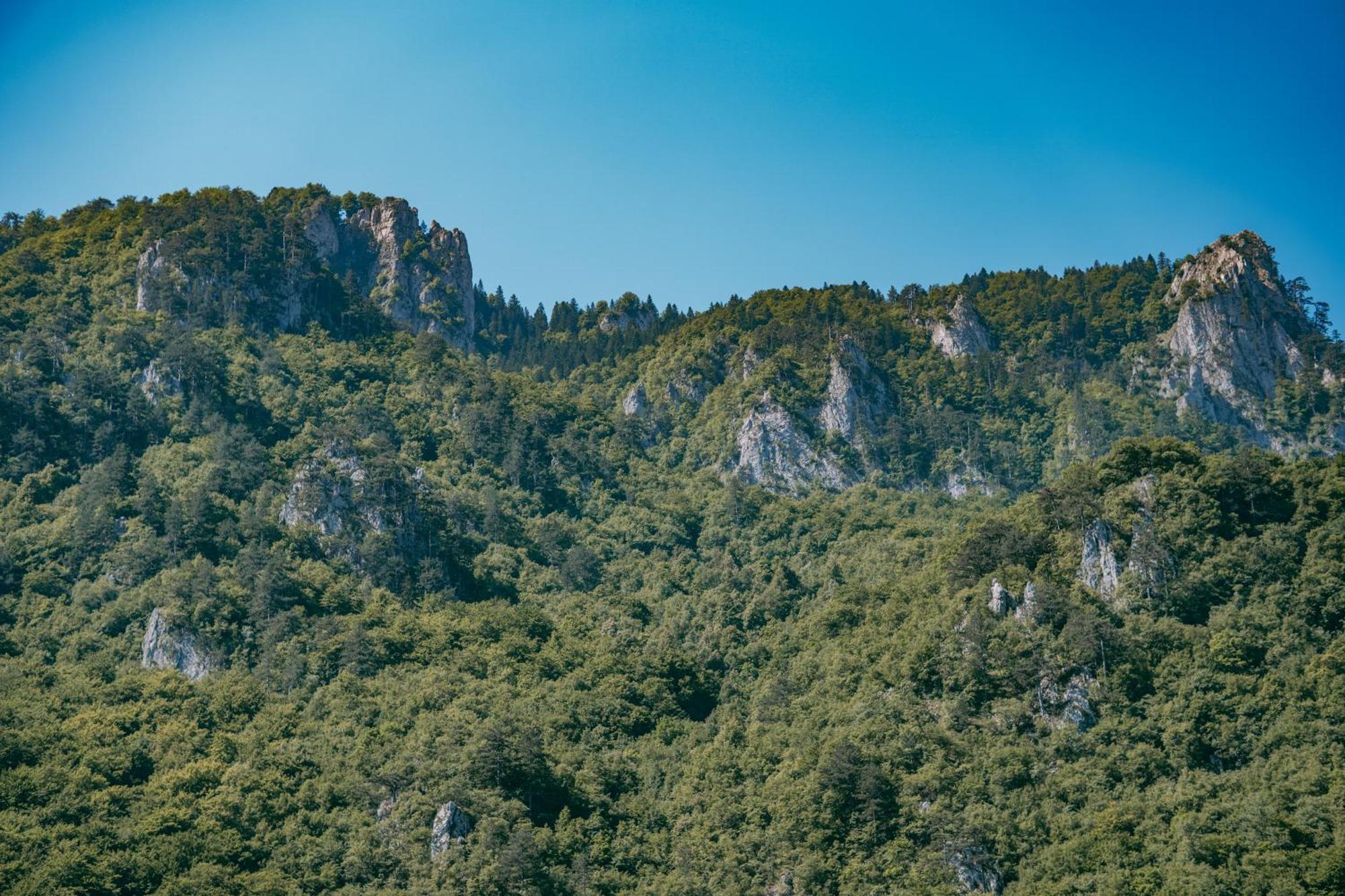 Отель Vucja Gora Фоча Экстерьер фото